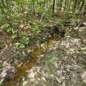 Photo #43 of 100 Ac JAMES ANDERSON HWY, GLADSTONE, VA 100.0 acres