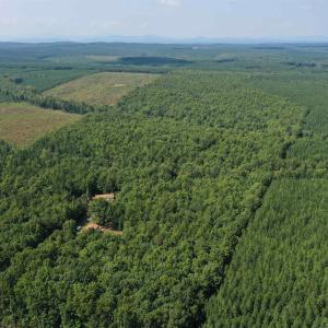 Photo #62 of 100 Ac JAMES ANDERSON HWY, GLADSTONE, VA 100.0 acres