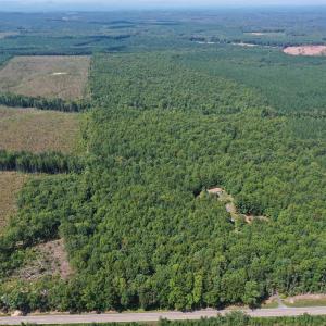 Photo #55 of 100 Ac JAMES ANDERSON HWY, GLADSTONE, VA 100.0 acres