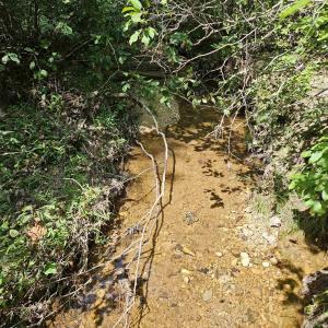 Photo #36 of 100 Ac JAMES ANDERSON HWY, GLADSTONE, VA 100.0 acres