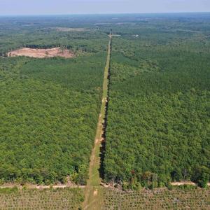 Photo #59 of 100 Ac JAMES ANDERSON HWY, GLADSTONE, VA 100.0 acres