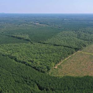 Photo #75 of 100 Ac JAMES ANDERSON HWY, GLADSTONE, VA 100.0 acres