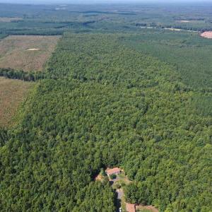 Photo #74 of 100 Ac JAMES ANDERSON HWY, GLADSTONE, VA 100.0 acres