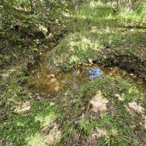 Photo #31 of 100 Ac JAMES ANDERSON HWY, GLADSTONE, VA 100.0 acres