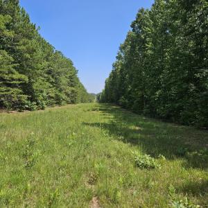 Photo #5 of 100 Ac JAMES ANDERSON HWY, GLADSTONE, VA 100.0 acres