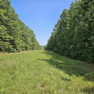 Photo #6 of 100 Ac JAMES ANDERSON HWY, GLADSTONE, VA 100.0 acres