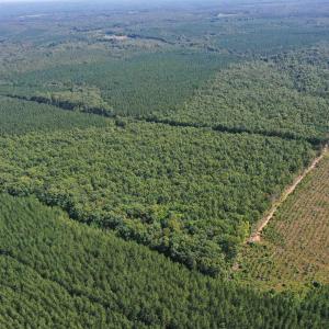 Photo #66 of 100 Ac JAMES ANDERSON HWY, GLADSTONE, VA 100.0 acres