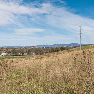 Photo #20 of 410 PEAR ST, HARRISONBURG, VA 4.9 acres