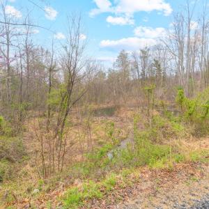 Photo #14 of HIDEAWAY RDG, STANARDSVILLE, VA 4.2 acres
