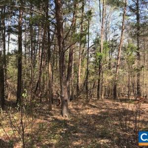 Photo #30 of HIDEAWAY RDG, STANARDSVILLE, VA 4.2 acres