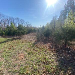 Photo #1 of ALDRIDGE LN, SCOTTSVILLE, VA 66.6 acres