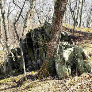 Photo #3 of 433 LAUREL SPRINGS DR, WINTERGREEN RESORT, VA 0.5 acres