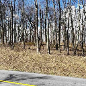 Photo #5 of 433 LAUREL SPRINGS DR, WINTERGREEN RESORT, VA 0.5 acres