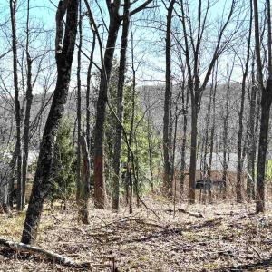 Photo #1 of 433 LAUREL SPRINGS DR, WINTERGREEN RESORT, VA 0.5 acres