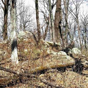Photo #9 of 433 LAUREL SPRINGS DR, WINTERGREEN RESORT, VA 0.5 acres