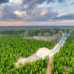 Photo #14 of TBD EVERGREEN CHURCH RD, PALMYRA, VA 42.6 acres