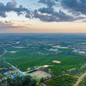 Photo #21 of TBD EVERGREEN CHURCH RD, PALMYRA, VA 42.6 acres