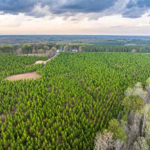 Photo #30 of TBD EVERGREEN CHURCH RD, PALMYRA, VA 42.6 acres