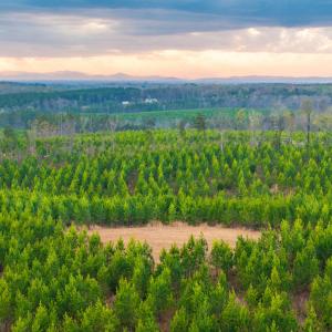 Photo #29 of TBD EVERGREEN CHURCH RD, PALMYRA, VA 42.6 acres