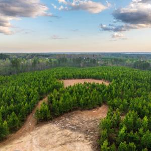 Photo #19 of TBD EVERGREEN CHURCH RD, PALMYRA, VA 42.6 acres