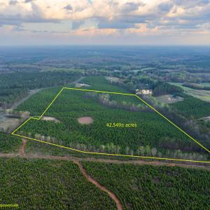 Photo #5 of TBD EVERGREEN CHURCH RD, PALMYRA, VA 42.6 acres