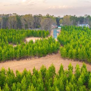 Photo #16 of TBD EVERGREEN CHURCH RD, PALMYRA, VA 42.6 acres