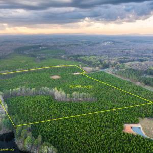 Photo #6 of TBD EVERGREEN CHURCH RD, PALMYRA, VA 42.6 acres