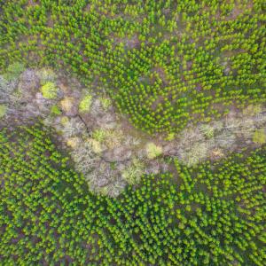 Photo #28 of TBD EVERGREEN CHURCH RD, PALMYRA, VA 42.6 acres