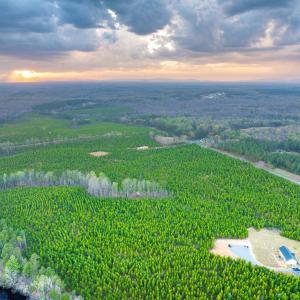 Photo #24 of TBD EVERGREEN CHURCH RD, PALMYRA, VA 42.6 acres