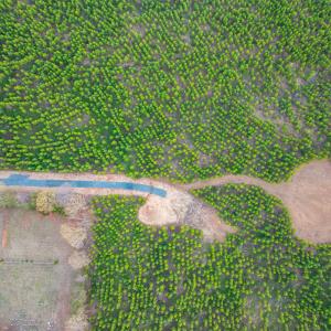 Photo #7 of TBD EVERGREEN CHURCH RD, PALMYRA, VA 42.6 acres