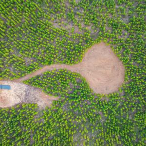 Photo #13 of TBD EVERGREEN CHURCH RD, PALMYRA, VA 42.6 acres