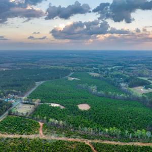 Photo #22 of TBD EVERGREEN CHURCH RD, PALMYRA, VA 42.6 acres