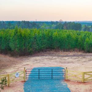 Photo #12 of TBD EVERGREEN CHURCH RD, PALMYRA, VA 42.6 acres