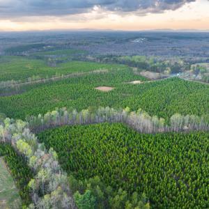 Photo #27 of TBD EVERGREEN CHURCH RD, PALMYRA, VA 42.6 acres