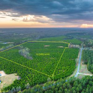 Photo #4 of TBD EVERGREEN CHURCH RD, PALMYRA, VA 42.6 acres