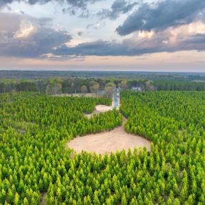 Photo #31 of TBD EVERGREEN CHURCH RD, PALMYRA, VA 42.6 acres