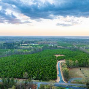 Photo #26 of TBD EVERGREEN CHURCH RD, PALMYRA, VA 42.6 acres