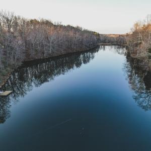 Photo #18 of 42 SHADWELL RD, KESWICK, VA 42.1 acres