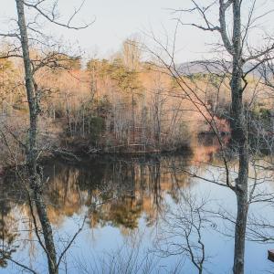 Photo #40 of 42 SHADWELL RD, KESWICK, VA 42.1 acres