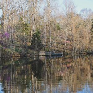 Photo #63 of 42 SHADWELL RD, KESWICK, VA 42.1 acres