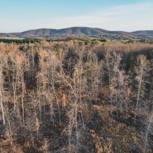 Photo #24 of 42 SHADWELL RD, KESWICK, VA 42.1 acres