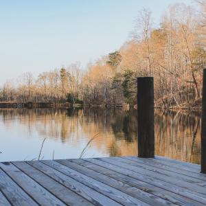 Photo #66 of 42 SHADWELL RD, KESWICK, VA 42.1 acres