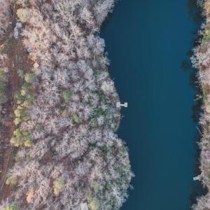 Photo #13 of 42 SHADWELL RD, KESWICK, VA 42.1 acres