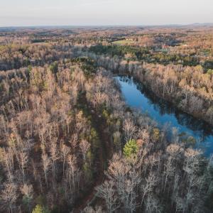 Photo #8 of 42 SHADWELL RD, KESWICK, VA 42.1 acres