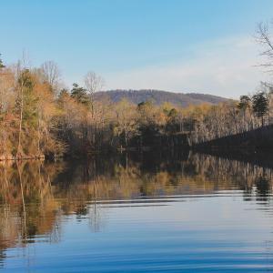 Photo #62 of 42 SHADWELL RD, KESWICK, VA 42.1 acres