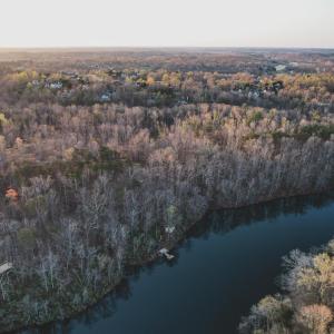 Photo #10 of 42 SHADWELL RD, KESWICK, VA 42.1 acres