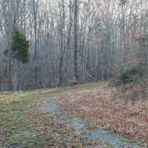Photo #41 of 42 SHADWELL RD, KESWICK, VA 42.1 acres