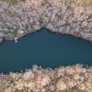 Photo #12 of 42 SHADWELL RD, KESWICK, VA 42.1 acres