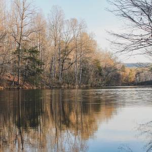 Photo #51 of 42 SHADWELL RD, KESWICK, VA 42.1 acres