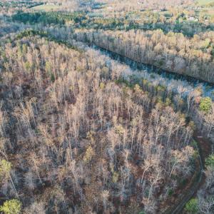 Photo #7 of 42 SHADWELL RD, KESWICK, VA 42.1 acres